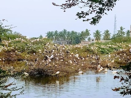 Uppalapadu Nature Conservation